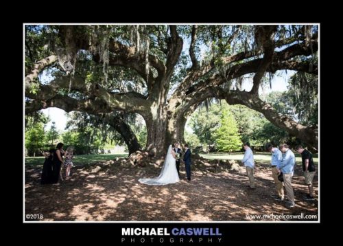 Read more about the article Tori & Andrew’s Elopement at the Tree of Life