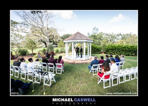 Read more about the article Diandra & Daniel’s Intimate Wedding at Oak Alley Plantation