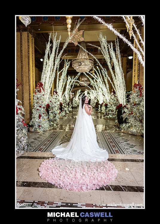 Read more about the article Vanna’s Bridal Portrait at the Roosevelt Hotel