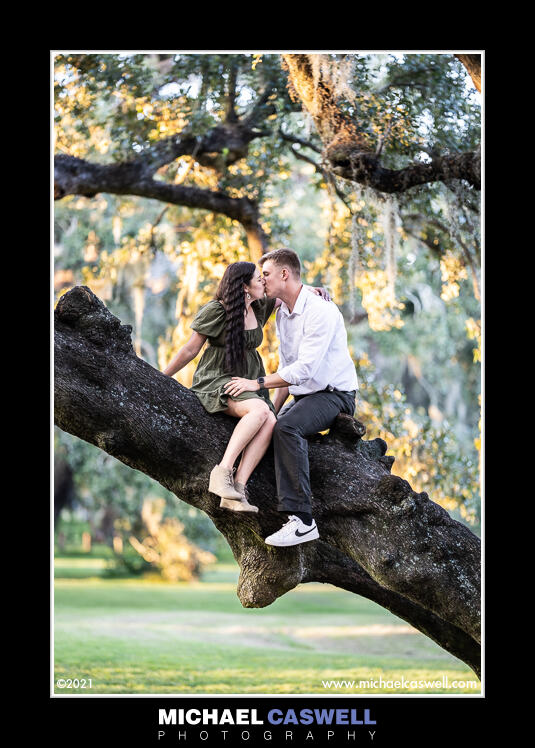 Read more about the article Kelly & Aaron’s Elopement Portrait at the Tree of Life
